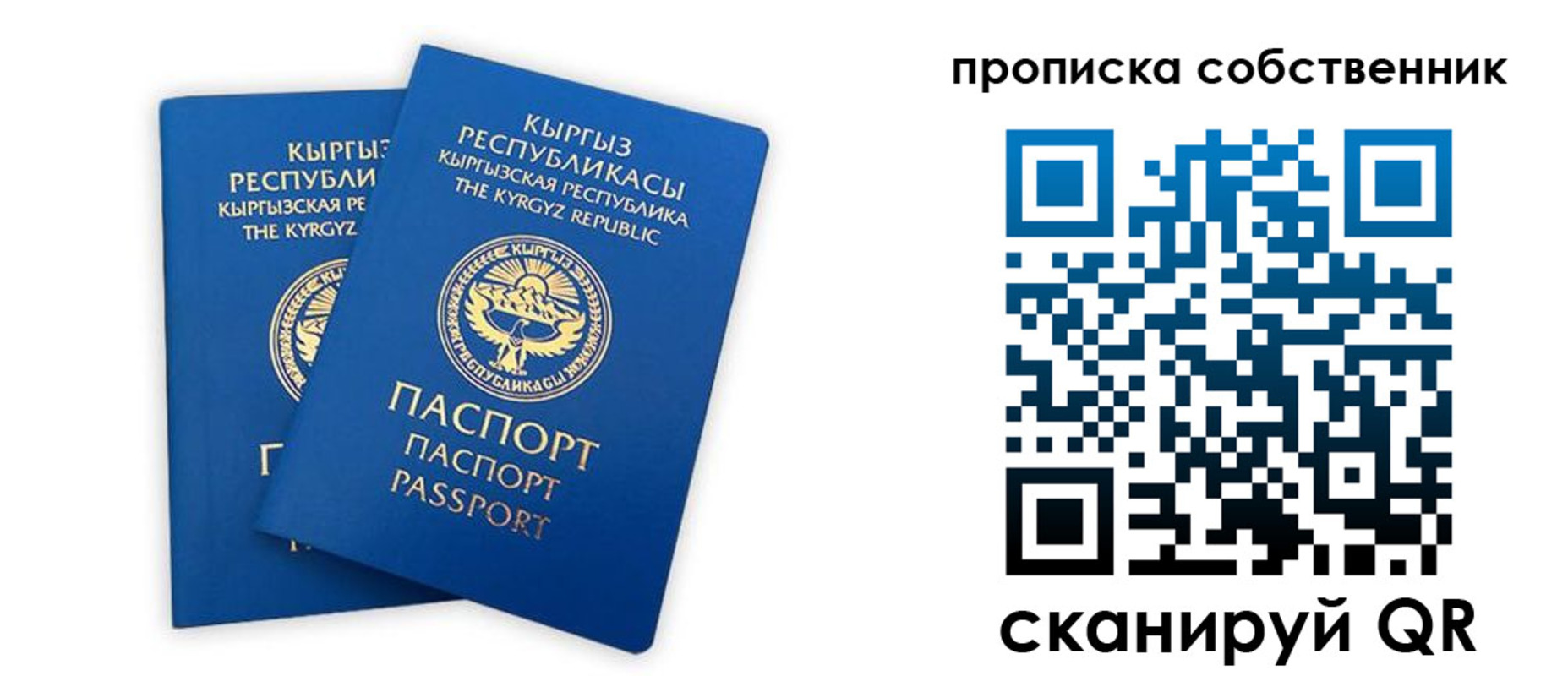 прописка гарантия в Калининграде